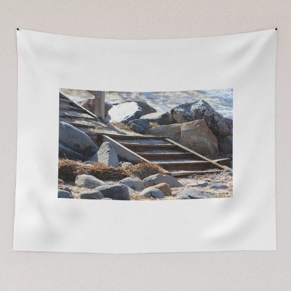 Item preview, Snowy Beach Steps designed and sold by Gilda Axelrod.