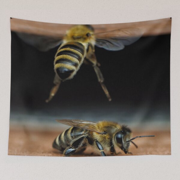 Item preview, Despejar la pista designed and sold by Heather Haderly.