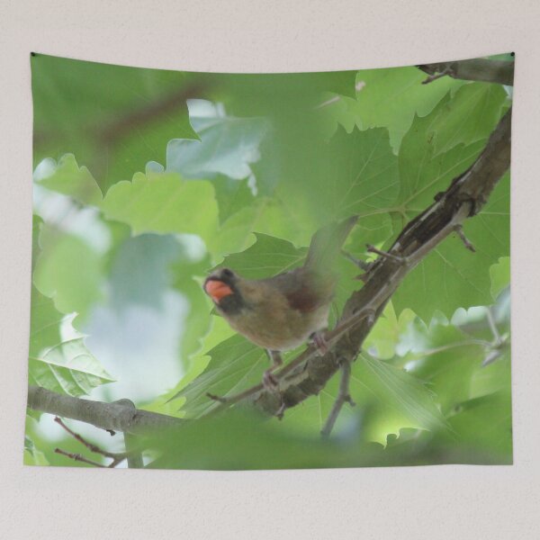 Item preview, Peek designed and sold by Bob Hardy.
