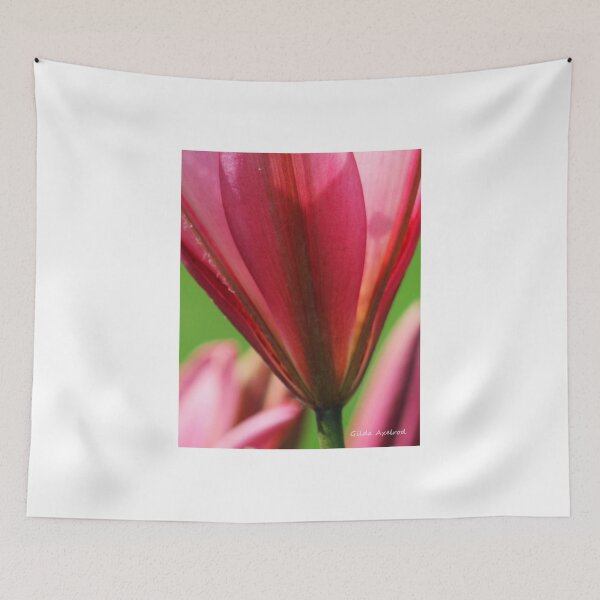Item preview, Pink Lily in the Light designed and sold by Gilda Axelrod.