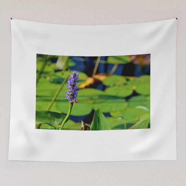 Item preview, Pickerelweed  designed and sold by Kathleen Daley.