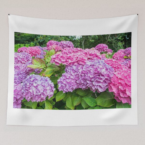 Item preview, Colourful Hydrangea Flowers designed and sold by Cameranick.