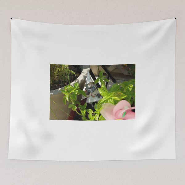 Item preview, A Gnome at Rest designed and sold by jclegge.
