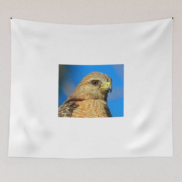 Item preview, Red Shouldered Hawk profile designed and sold by Anthony Goldman.