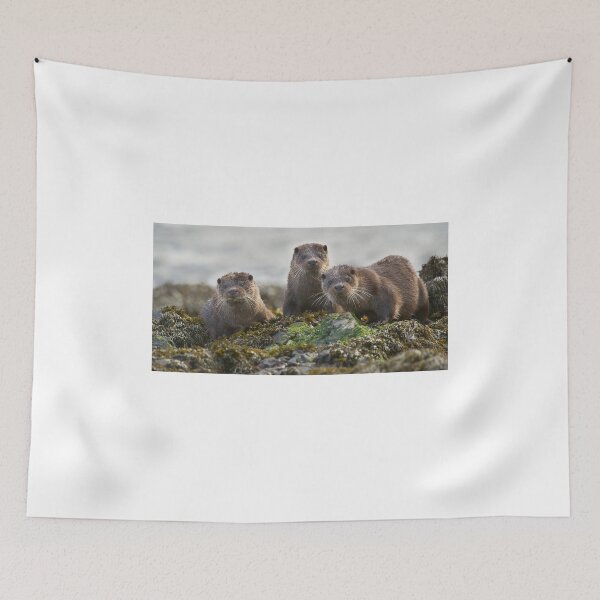 Item preview, Scottish Otter family designed and sold by wildlifephoto.