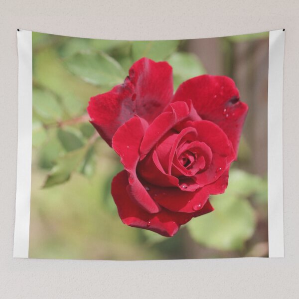 Item preview, Don Juan Portrait designed and sold by Bob Hardy.