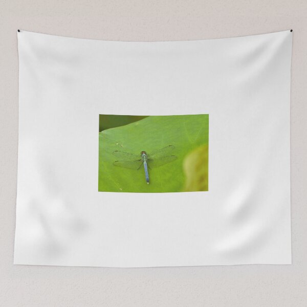 Item preview, Dragonfly on lotus leaf designed and sold by Thaddeus Zajdowicz.