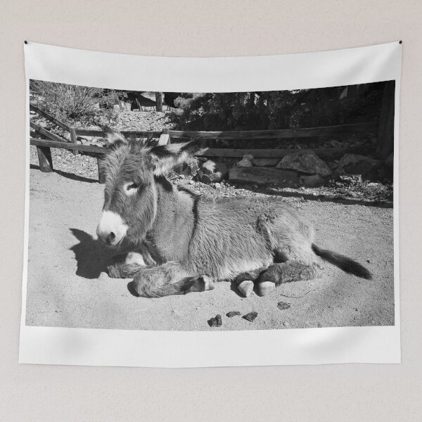 Artikelvorschau, Black and white Burro entworfen und verkauft von hawkie.