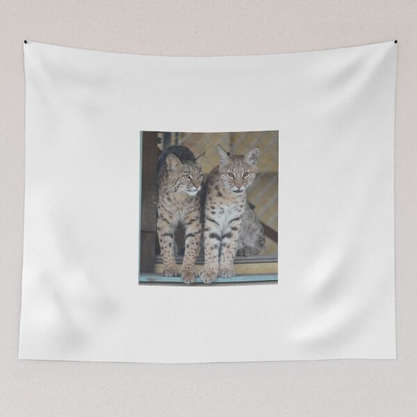 Item preview, Bobcats designed and sold by Eaglelady.