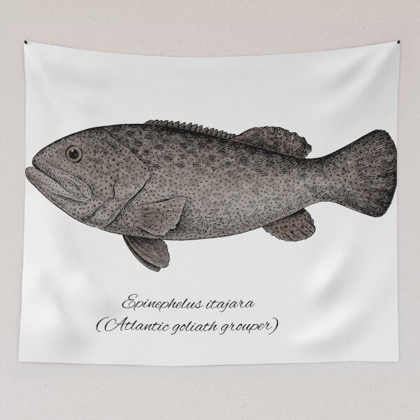 Item preview, Grouper goliath designed and sold by Evgenia's Fish Art.