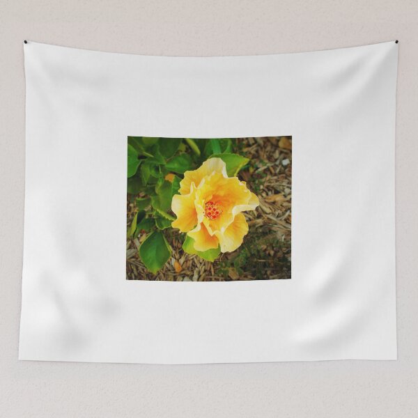 Item preview, Soft petals designed and sold by alan barbour.