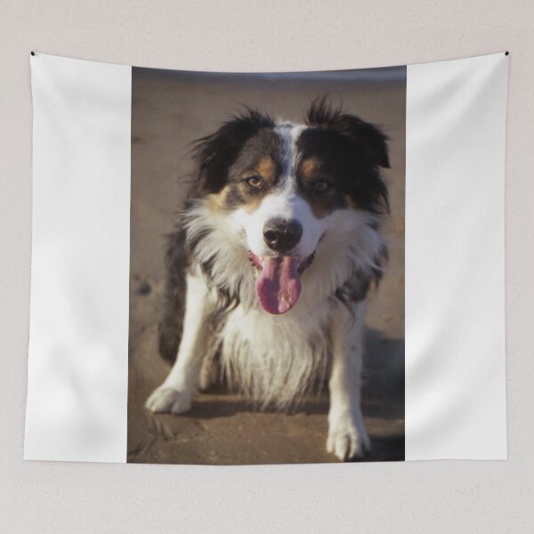 Item preview, Joyful. designed and sold by Michael Haslam.
