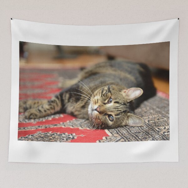 Artikelvorschau, Rufus on a rug entworfen und verkauft von furrtographer.