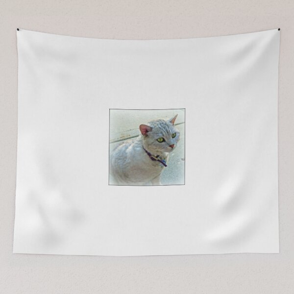 Item preview, New Cat On The Block designed and sold by kkphoto1.