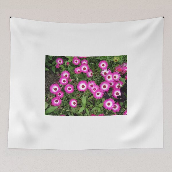 Item preview, Singing of Summer - Pink Mesembryanthemums designed and sold by Kathryn Jones.