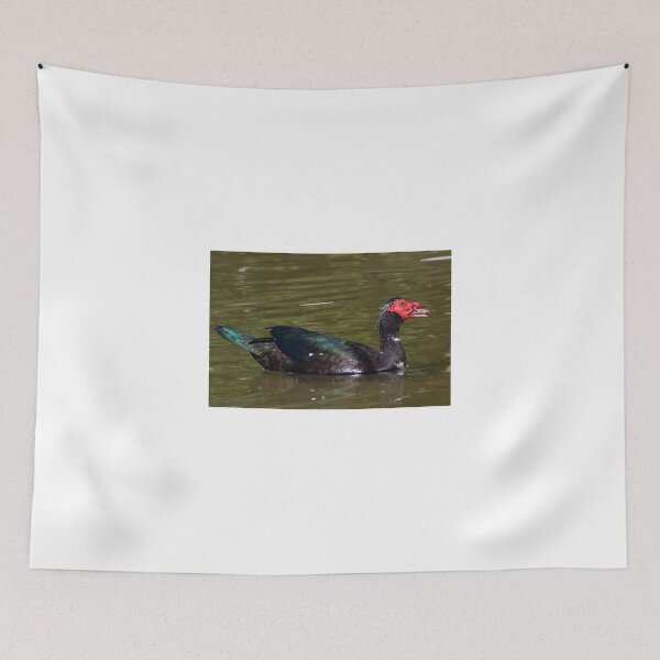 Item preview, Muscovy Duck designed and sold by chris2766.