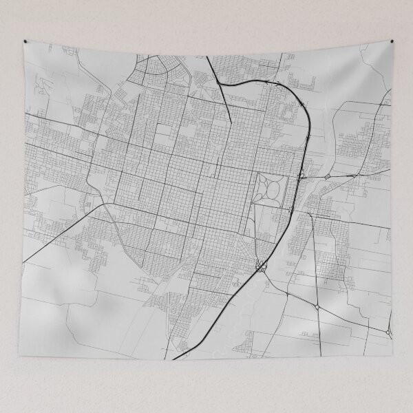 Item preview, San Miguel de Tucuman, Argentina Map. (Black on wh designed and sold by Graphical-Maps.