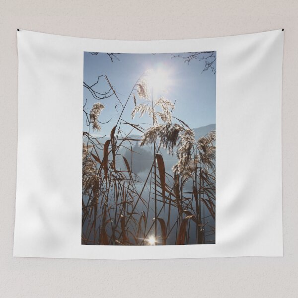 Item preview, Misty Reeds designed and sold by John Keates.