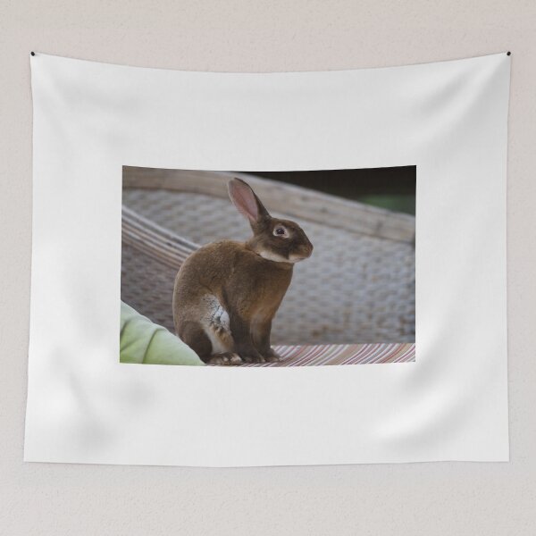 Item preview, The Alice Rabbit designed and sold by byronbackyard.