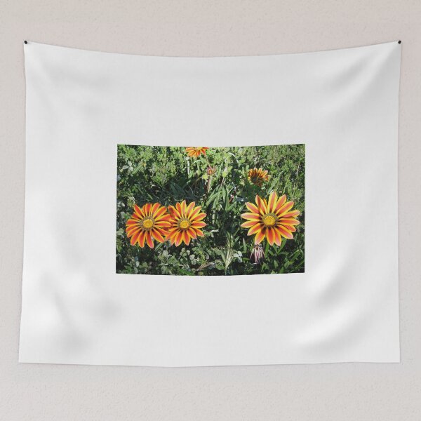 Item preview, Gazania 6 designed and sold by Heatherian.