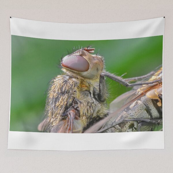 Item preview, Flies Head  designed and sold by relayer51.