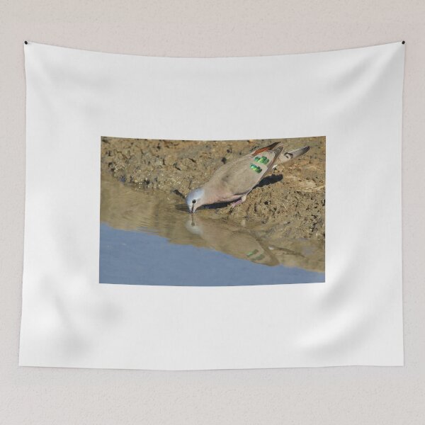 Item preview, Emerald Spotted Dove - African Wild Bird Background - Reflection of Green and Blue designed and sold by LivingWild.