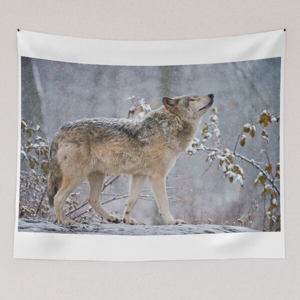 Item preview, Timber Wolf designed and sold by WolvesOnly.