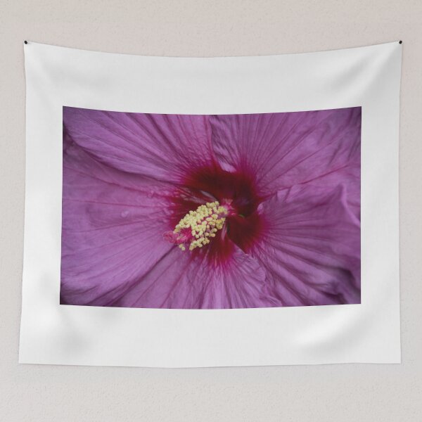 Item preview, Spellbinding Bloom designed and sold by AhArtography.