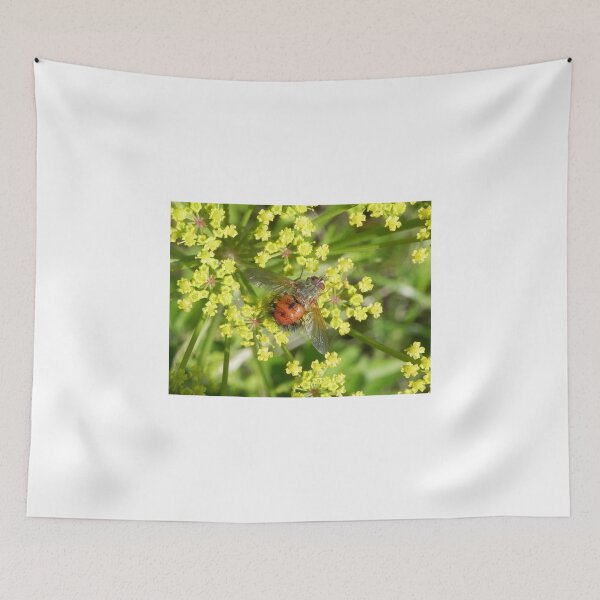 Item preview, Feeding Frenzy designed and sold by Martha Medford.