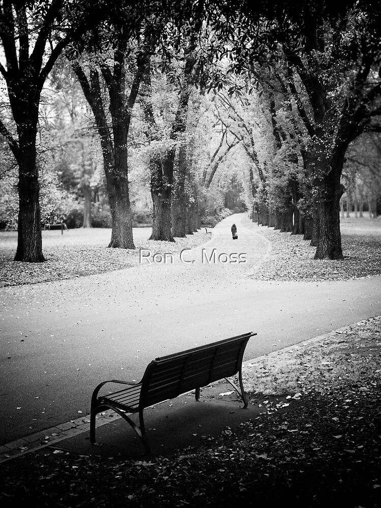 In The Park by ronmoss