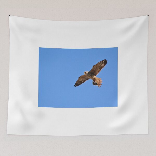 Item preview, Greater Kestrel - Macky's African Wings designed and sold by LivingWild.