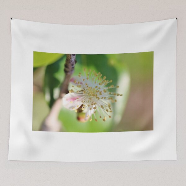 Item preview, Single Blossom designed and sold by cathywillett.