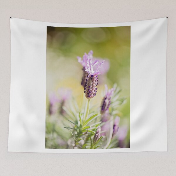 Aperçu de l'œuvre Lavender créée et vendue par Allport Photography.