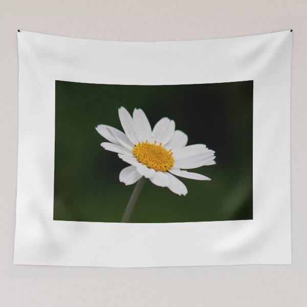 Item preview, Daisy Daisy, Give me Your Answer Do, designed and sold by AnnDixon.