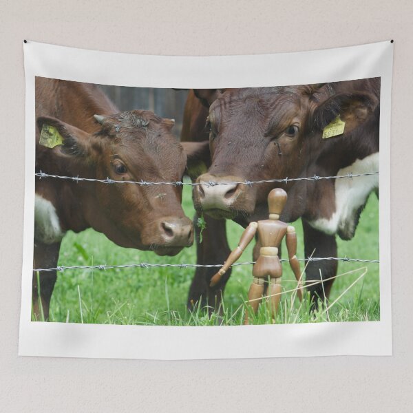Item preview, Amazed Cows designed and sold by Mythos57.