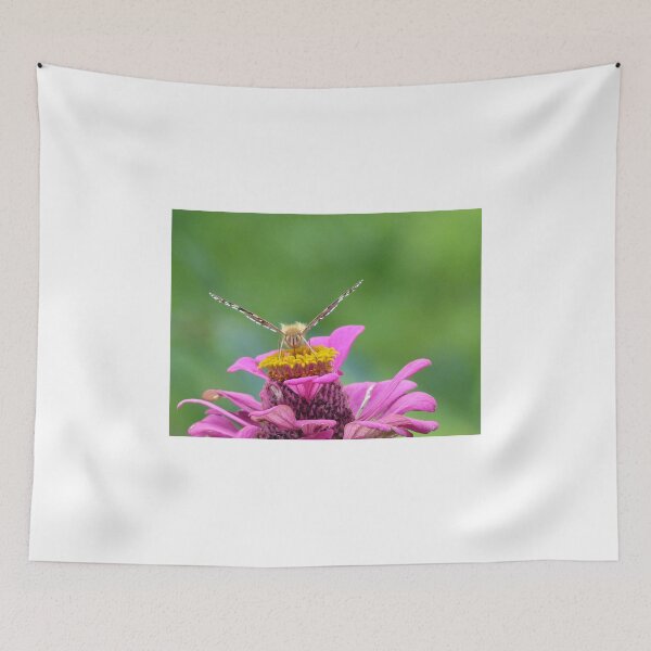 Item preview, Are you Looking at Me?! designed and sold by Frankie Cat Photography.