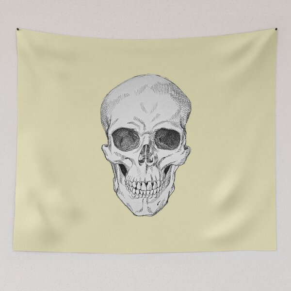 Item preview, Frontal Skull Anatomical Drawing designed and sold by moloriki.