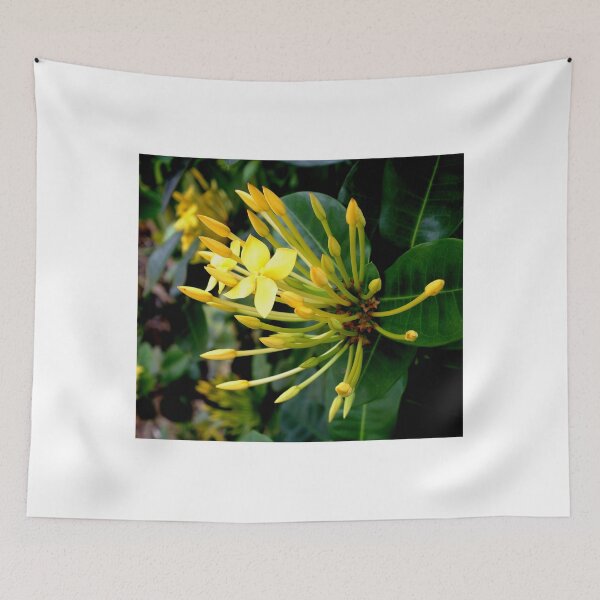 Item preview, A Show of Yellow  designed and sold by sandysartstudio.