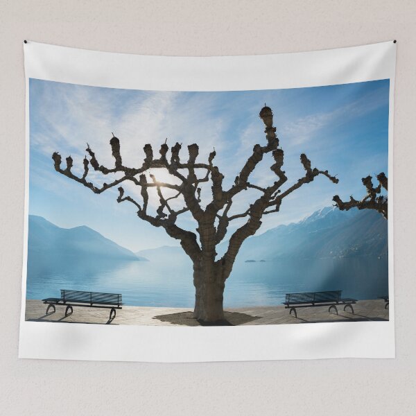 Item preview, Tree and bench designed and sold by Mats Silvan.