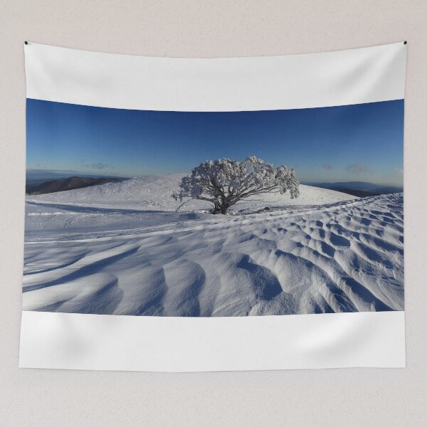 Item preview, Endurance.  Mt Stirling  designed and sold by Donovan Wilson.