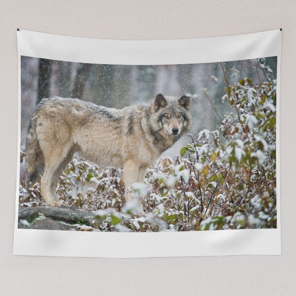 Item preview, Timber Wolf designed and sold by WolvesOnly.