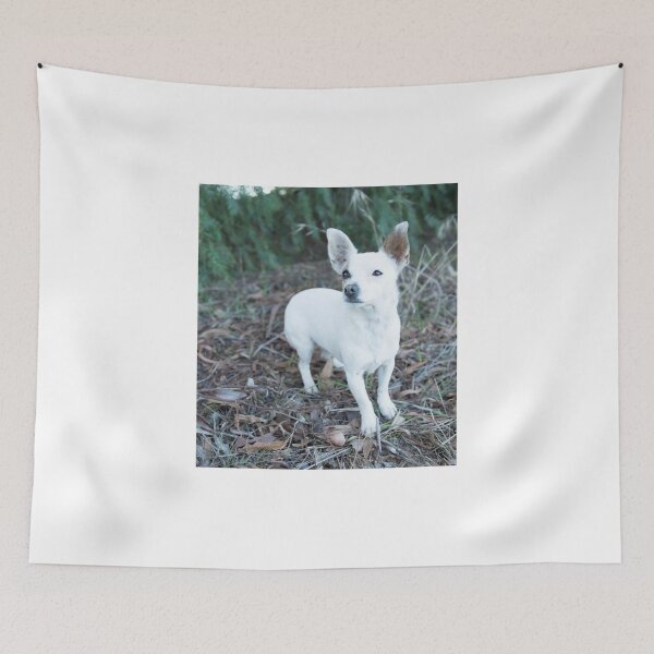 Item preview, Little Nelly.... designed and sold by mitpjenkeating.