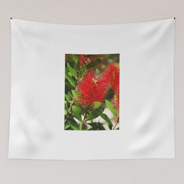 Item preview, Bottlebrush Flower  designed and sold by jojobob.