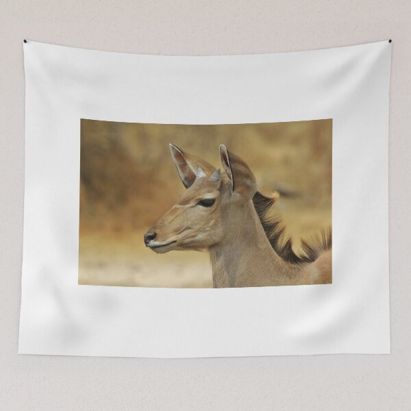 Item preview, Kudu Bull Calf - Innocent Beauty designed and sold by LivingWild.