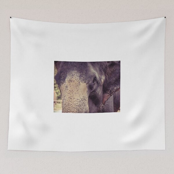Item preview, Close-up shot of Asian elephant head designed and sold by Stanciuc.