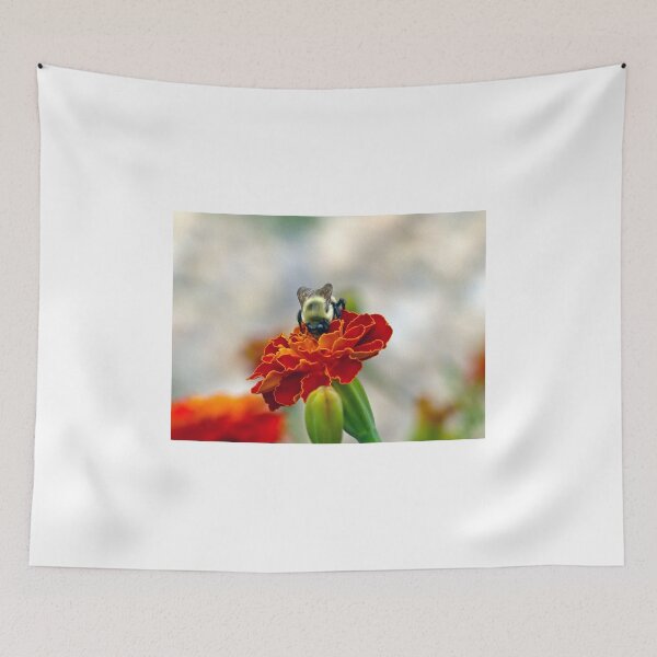 Item preview, Digging In designed and sold by Frankie Cat Photography.