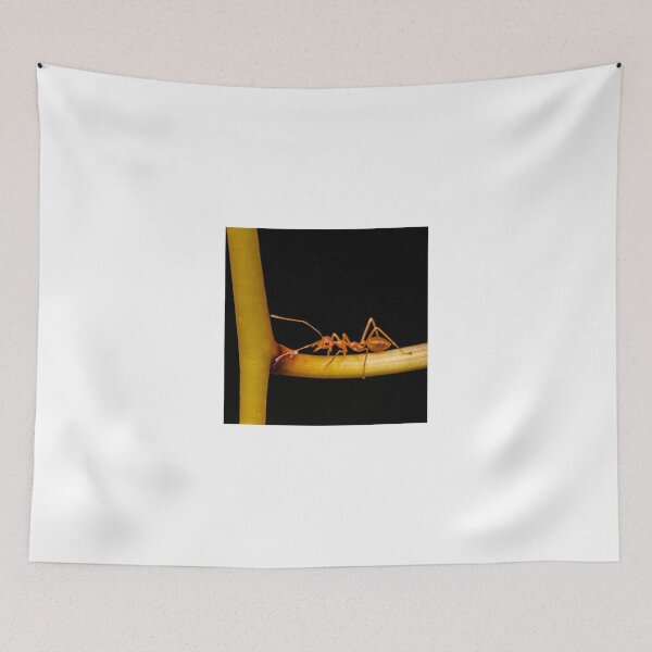 Item preview, Macro shot of ant walking on a coloured orchid flower designed and sold by Stanciuc.