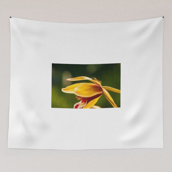 Item preview, Macro shot of ant walking on a coloured orchid flower designed and sold by Stanciuc.