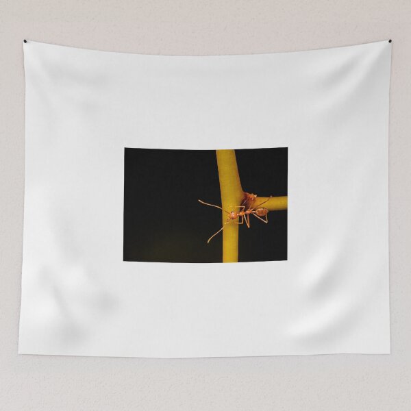 Item preview, Macro shot of ant walking on a coloured orchid flower designed and sold by Stanciuc.