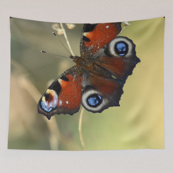 Item preview, Peacock butterfly on a dried flower designed and sold by JBlaminsky.